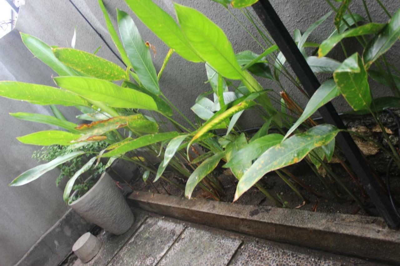 Paranyogan Homestay 2 Jimbaran Exterior foto