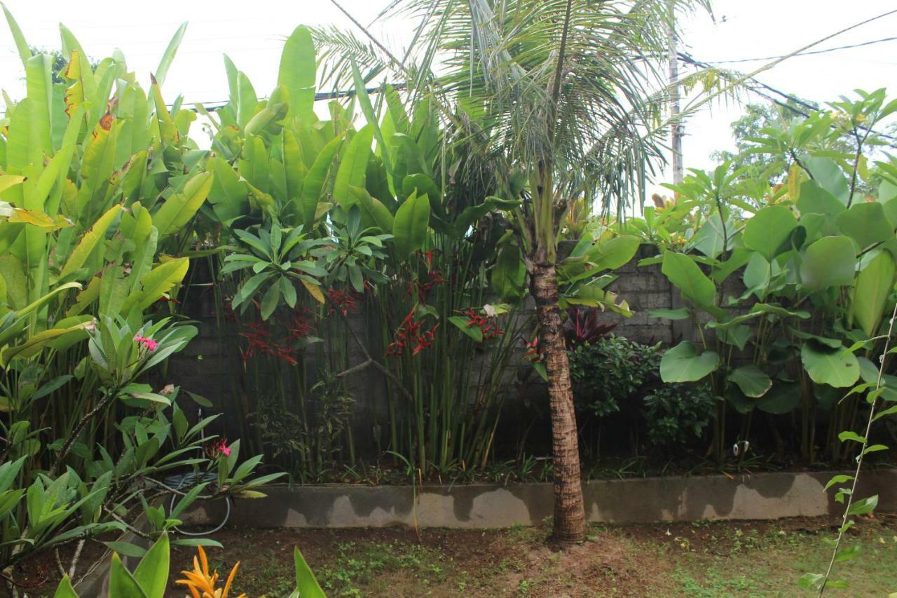 Paranyogan Homestay 2 Jimbaran Exterior foto